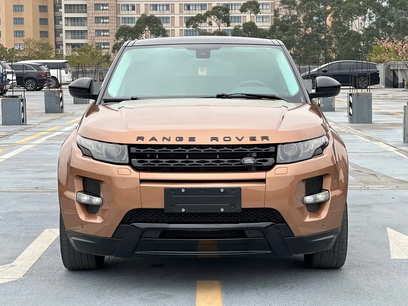 Land Rover Range Rover Evoque (Import) 2014 2.0T 5-door Limited Edition фото 5
