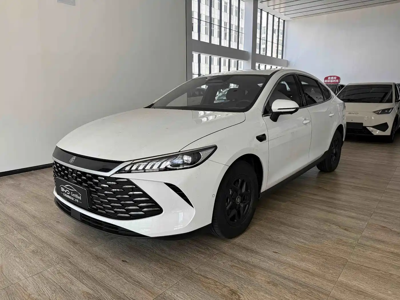  BYD Qin PLUS 2025 DM-i Smart Drive Edition 120KM Surpassing Type