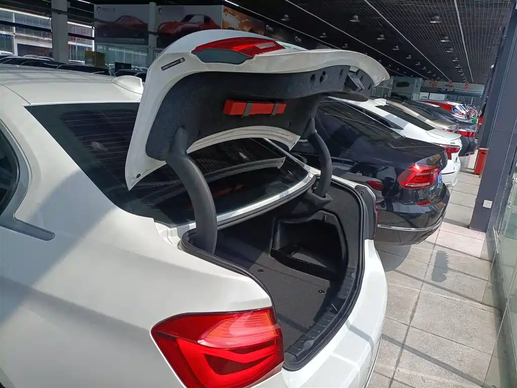 BMW 3 Series 2019 320Li Fashion Type фото 16