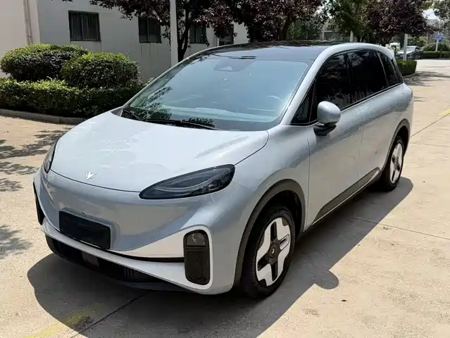  ARCFOX Arcfox Koala S 2024 PRO