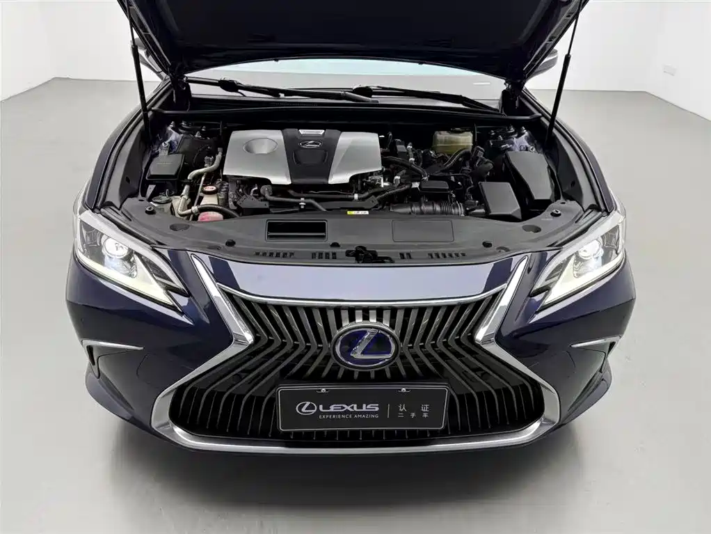 Lexus ES 2018 300h Excellence Edition China V фото 3