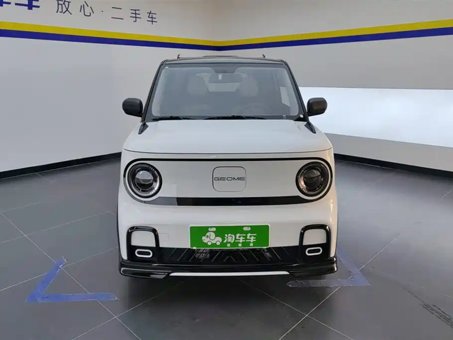 Geely Galaxy Panda 2026 2025 Model Year 210km Panda Kart