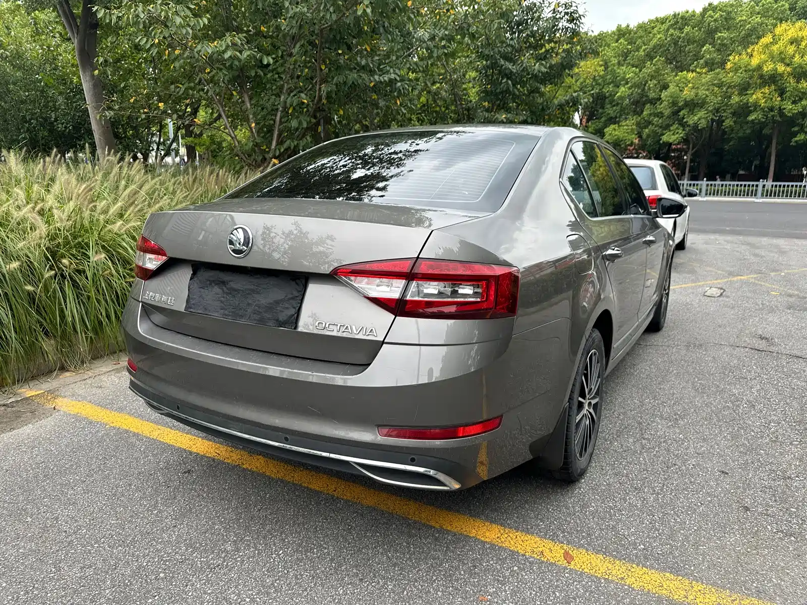 Фото 5 - Škoda Octavia