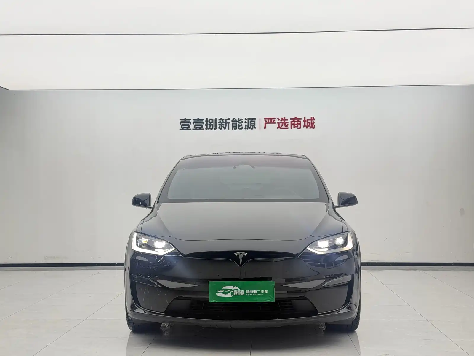 Фото 2 - Tesla Model X
