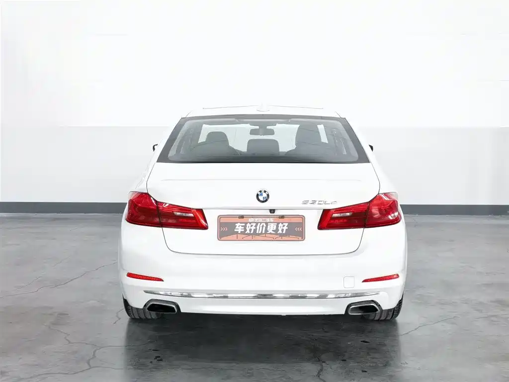 BMW 5 Series New Energy 2019 530Le Luxury Package фото 4