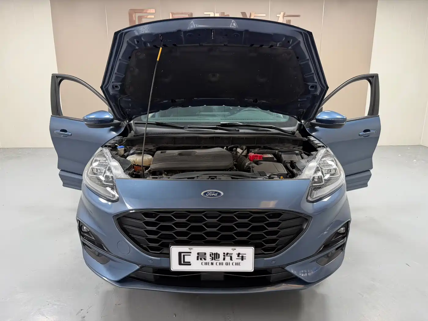 FORD RUIJI
