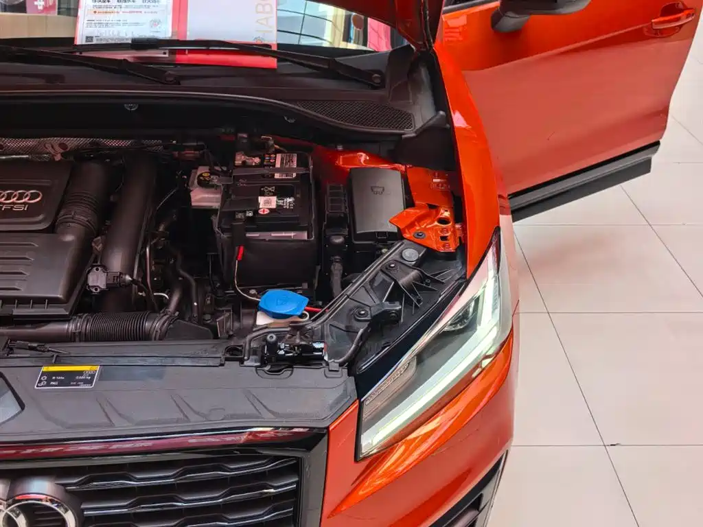 Audi Q2L 2018 35 TFSI Launch Exclusive Edition China VI фото 22