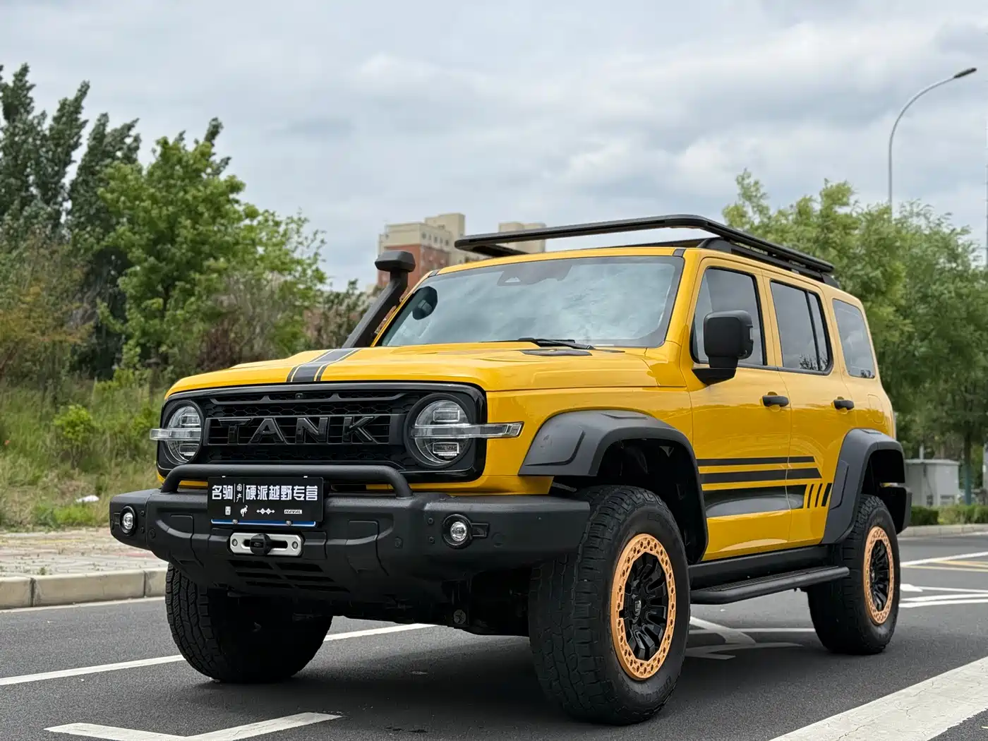 Tank 300 2022 2.0T Border Limited Edition