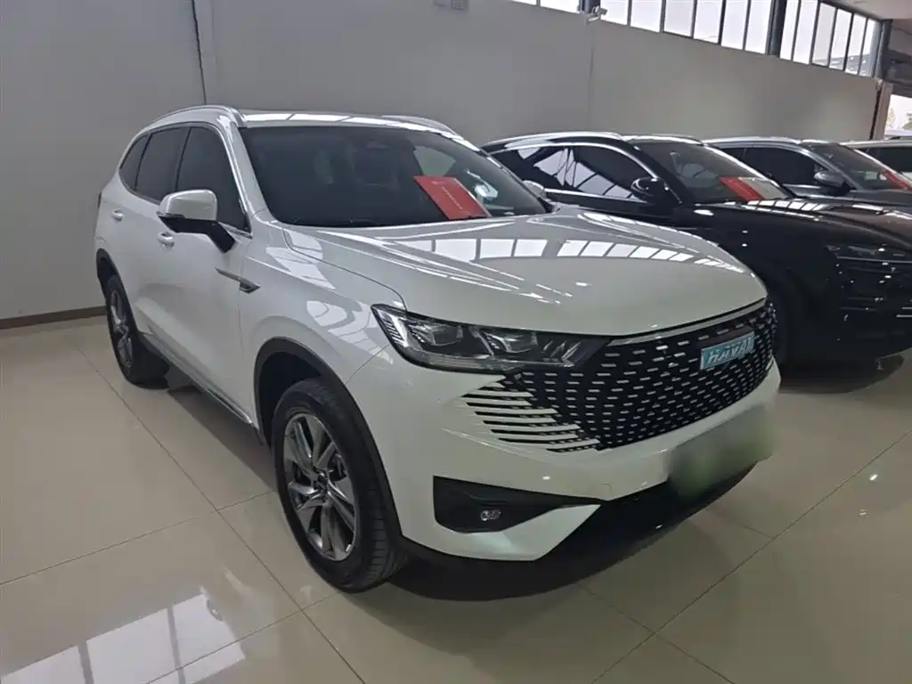 Haval H6 New Energy 2023 DHT-PHEV 110KM Smooth Edition фото 4