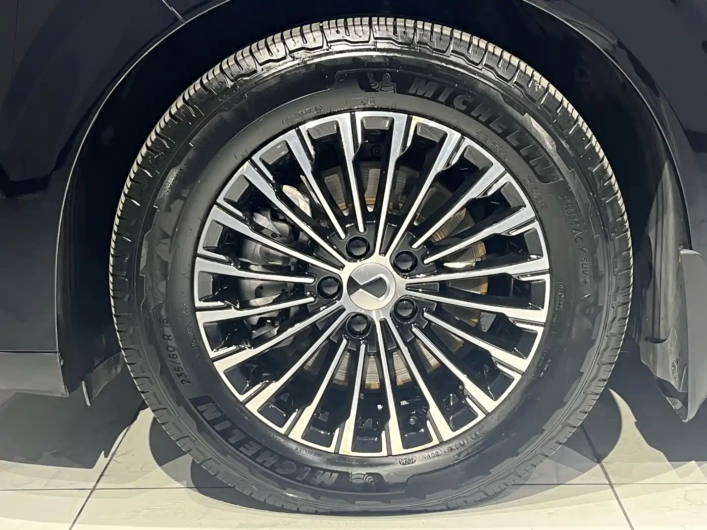 Denza D9 2022 DM-i 970 All-Wheel Drive Honor Edition фото 5
