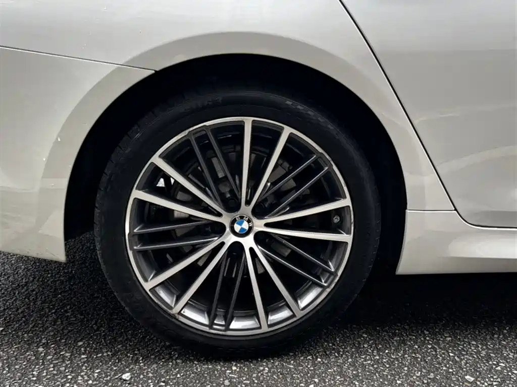 BMW 5 Series 2020 530Li Leading M Sport Package фото 12