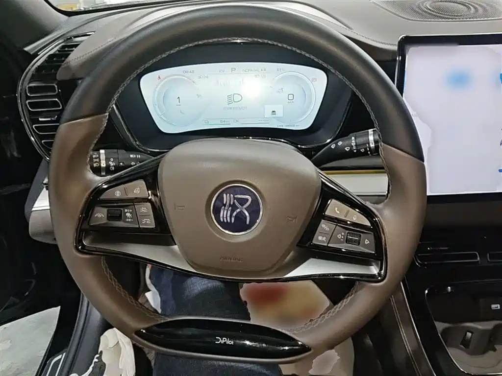 BYD Han 2023 DM-i Champion Edition 121KM Honor фото 11