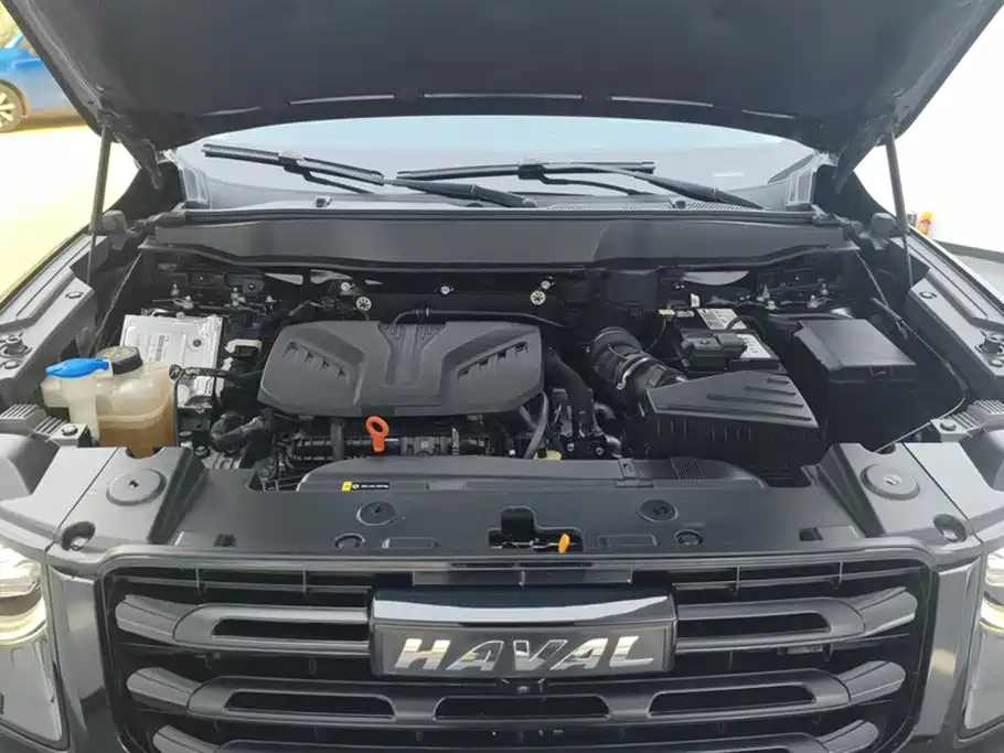 Haval Big Dog 2021 2.0T DCT AWD Howling Celestial Dog Edition фото 10