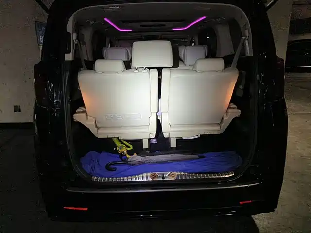 Toyota Alphard 2020 Hybrid 2.5L Luxury Edition — фото 5