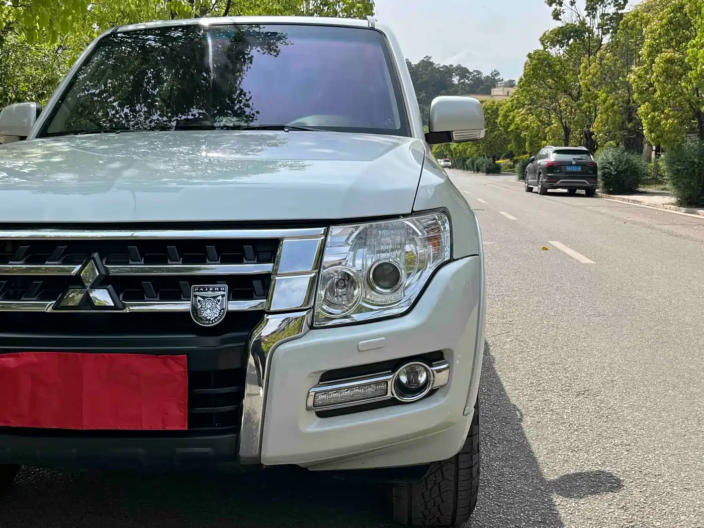 Mitsubishi Pajero (Import) 2019 3.0L Auto Standard Version фото 10