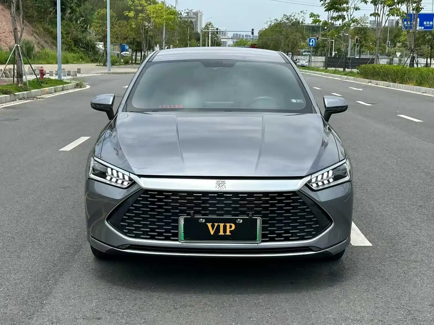 BYD Qin PLUS 2024 Glory Edition DM-i 55KM Leading фото 3