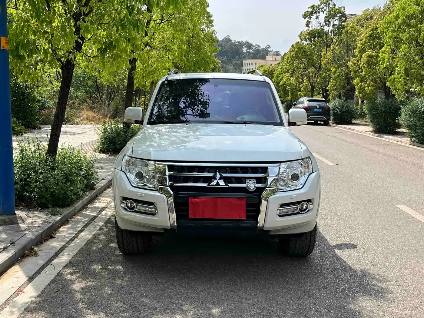 Mitsubishi Pajero (Import) 2019 3.0L Auto Standard Version фото 2