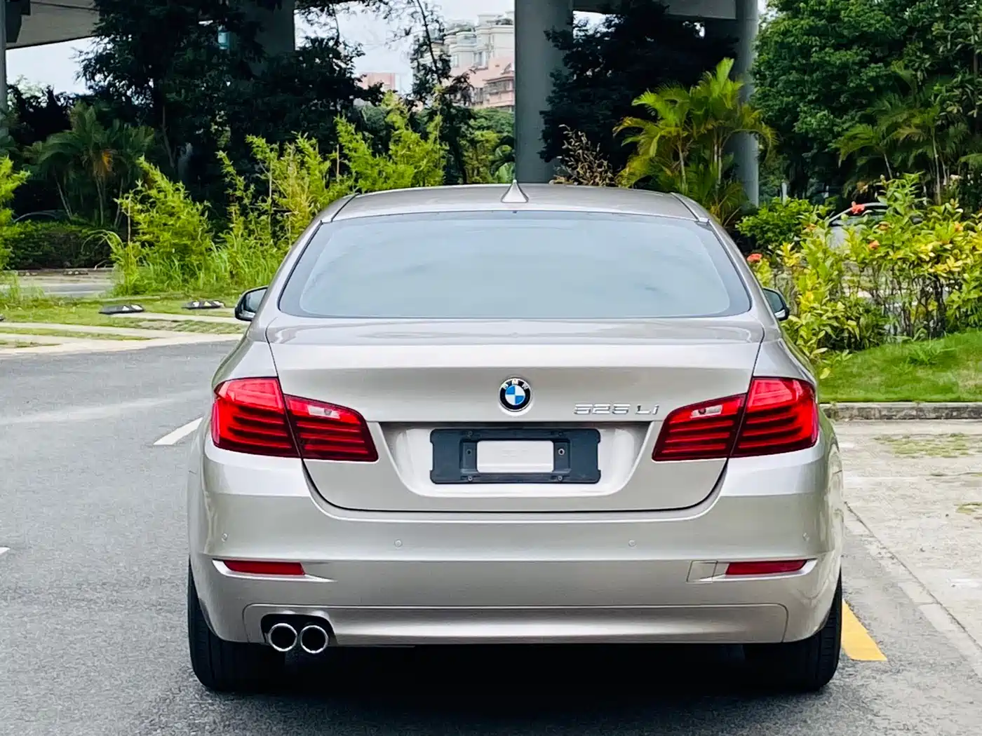 BMW 5 Series 2014 525Li Leading фото 6