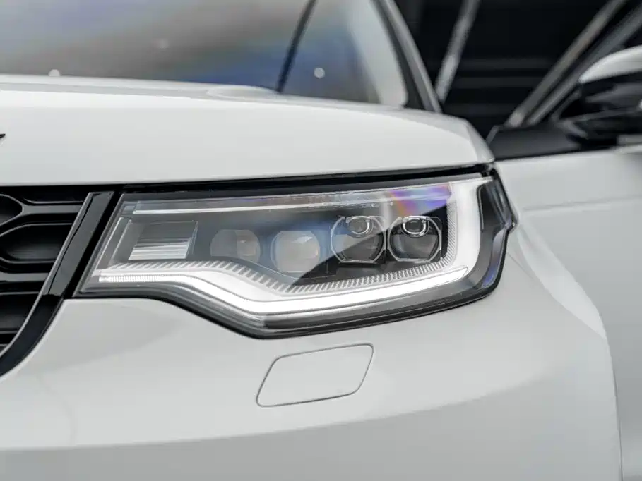 Land Rover Discovery 2024 2024 360PS Dynamic SE