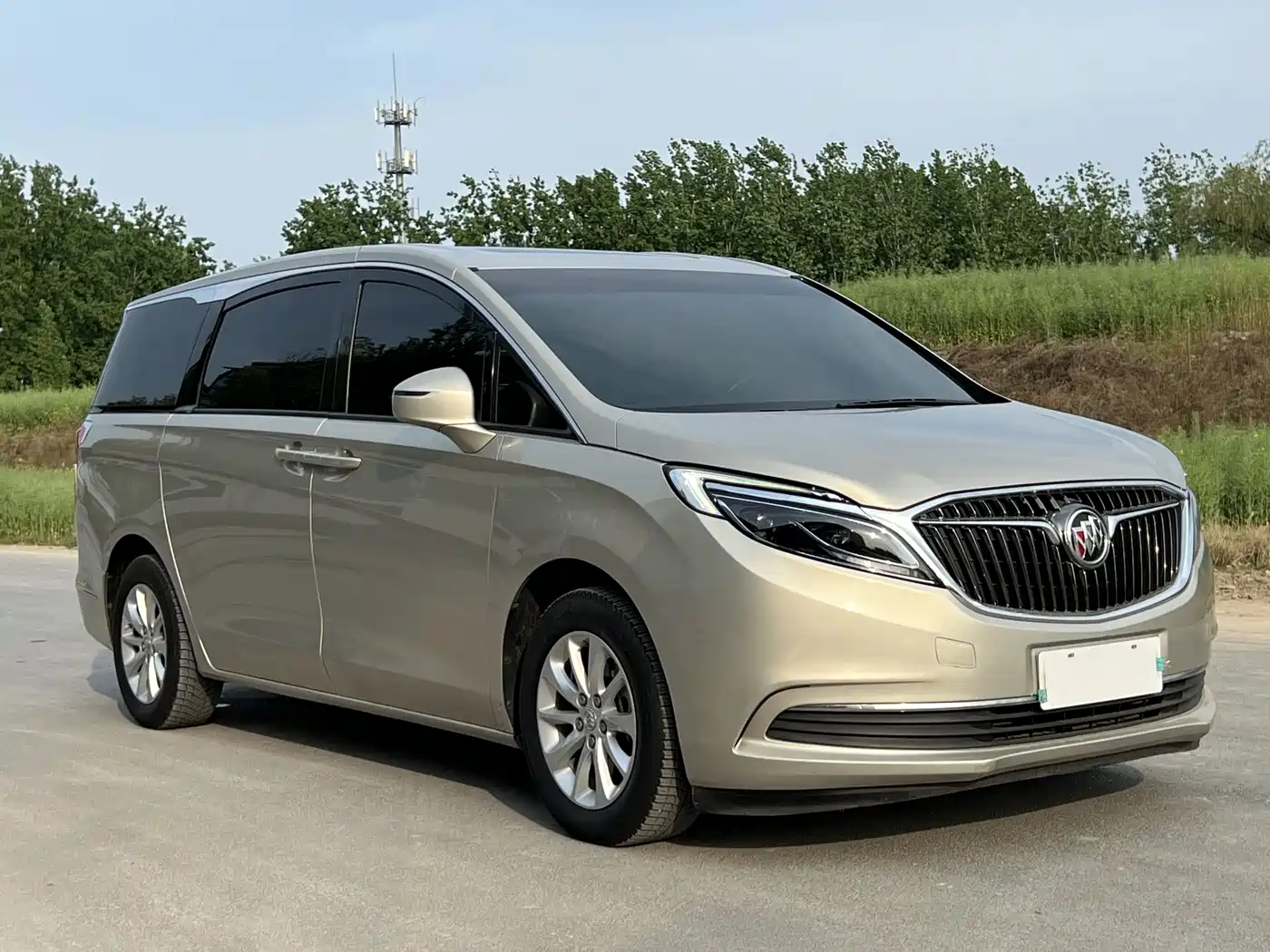 Buick GL8 2018 ES 28T Premium Type China VI фото 3