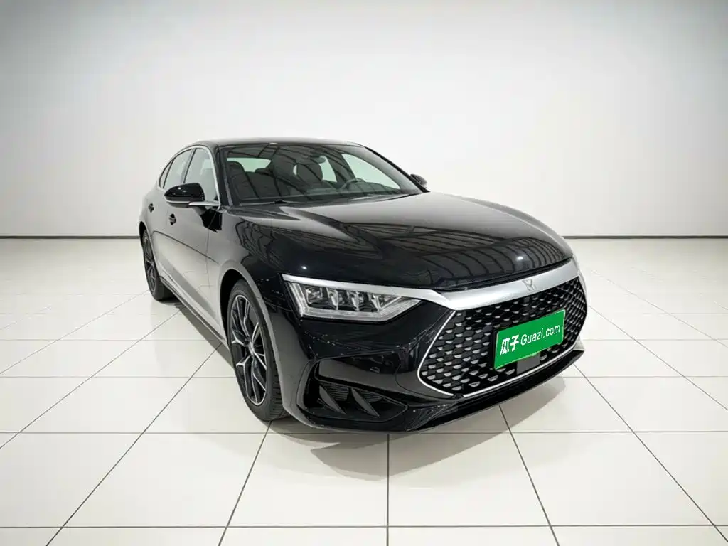 Photo 4 - BYD Han