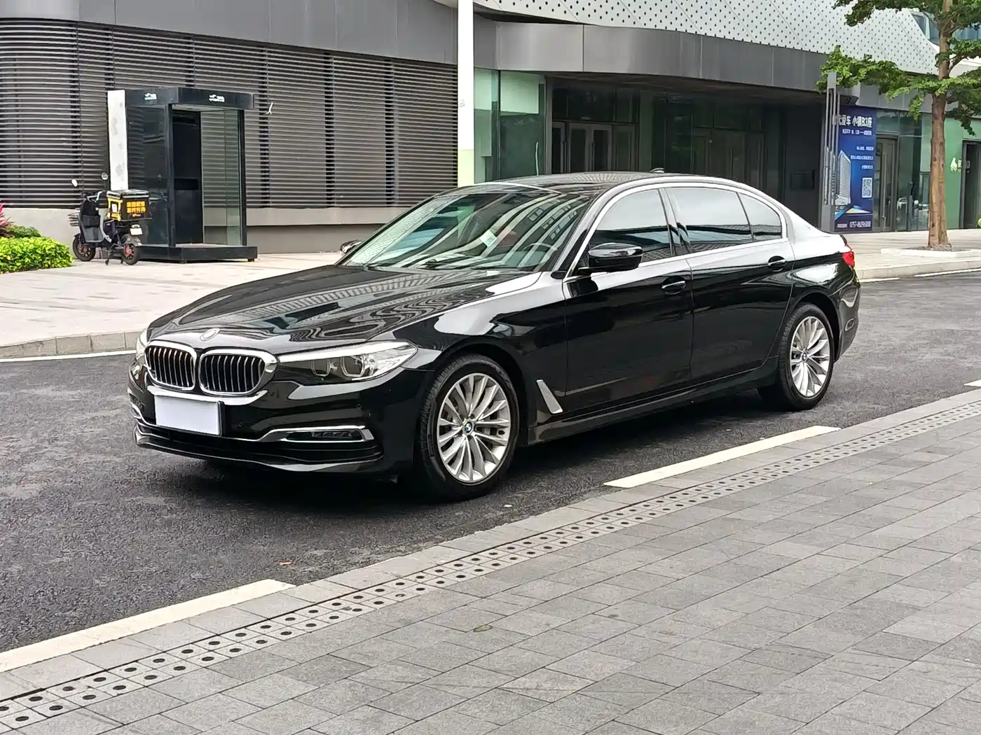 BMW 5 Series 2019 530Li Leading Luxury Package