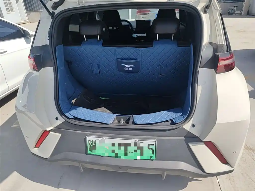 BYD Seagull 2025 305km Freedom фото 19