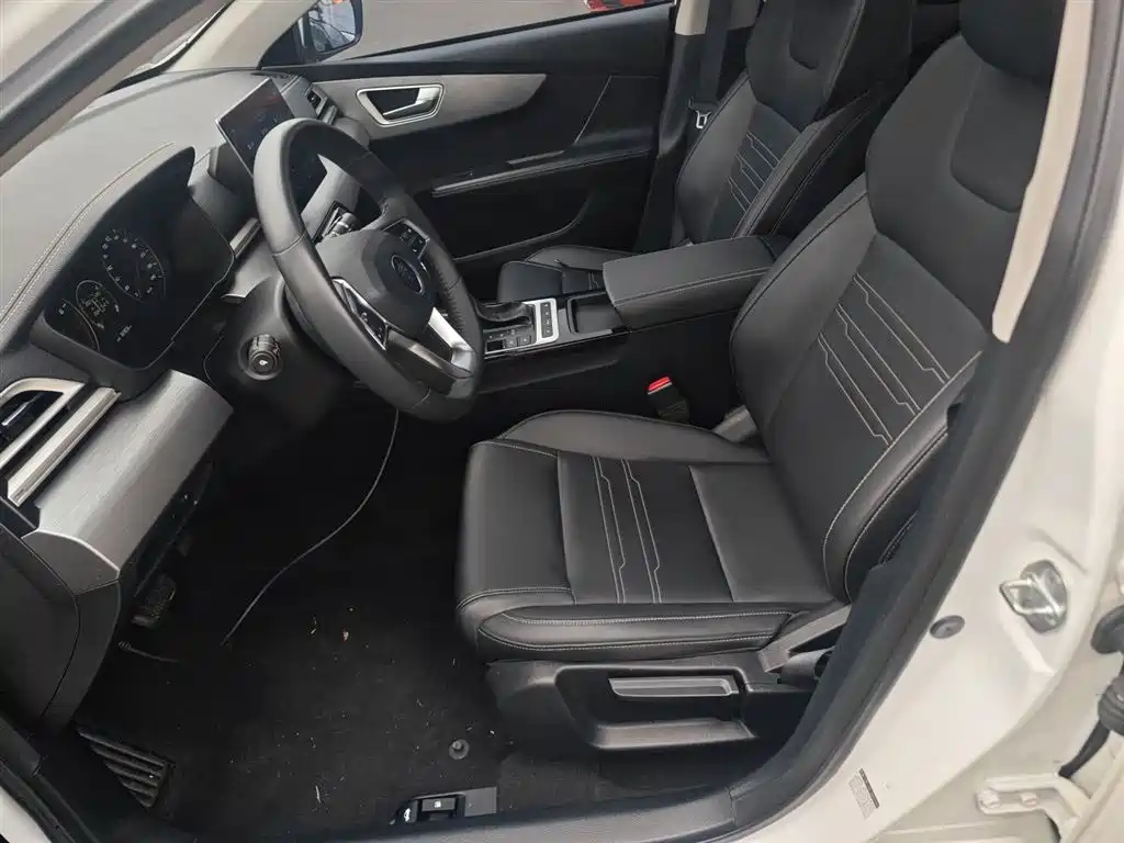 BYD Qin 2019 1.5L Automatic Prestige фото 15