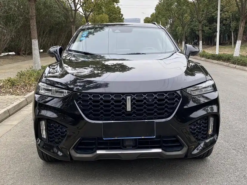 WEI PAI WEI BRAND VV7