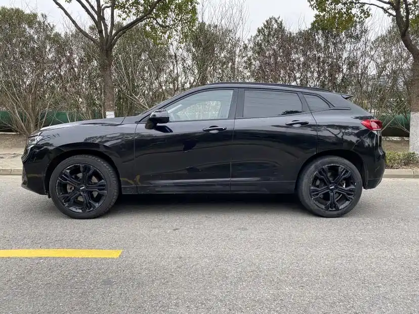 WEI PAI WEI BRAND VV7