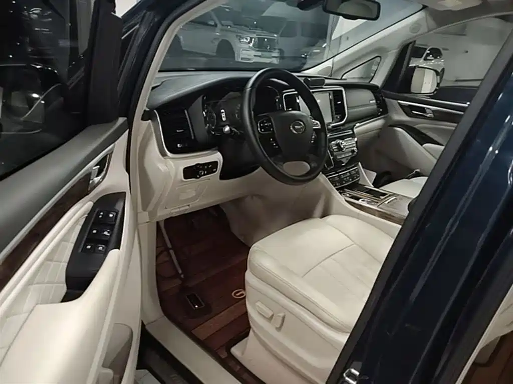 GAC Trumpchi Trumpchi M8 2018 320T Premium Edition фото 16
