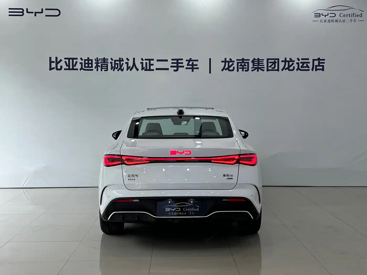 BYD Seal 06 New Energy 2025 DM-i Smart Drive Edition 120KM Luxury фото 5