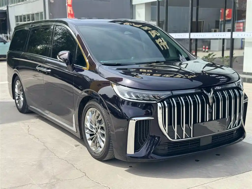 Voyah Auto Voyah Dreamer 2024 PHEV Extended Range Flagship Edition фото 3