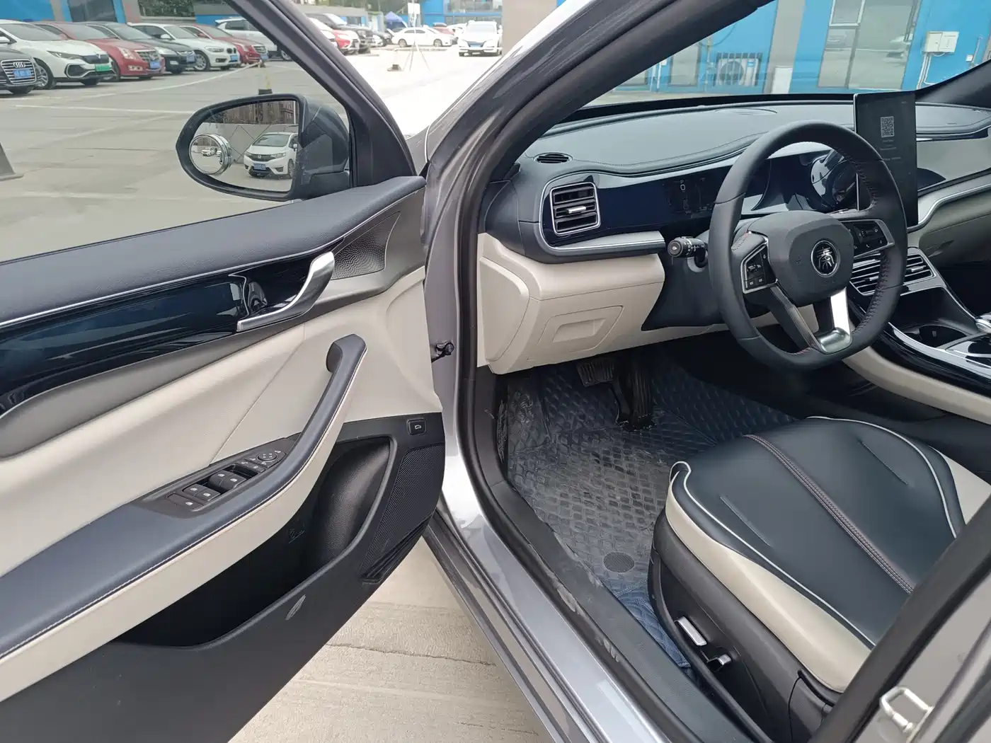 BYD Qin PLUS 2024 Glory Edition DM-i 55KM Leading фото 4