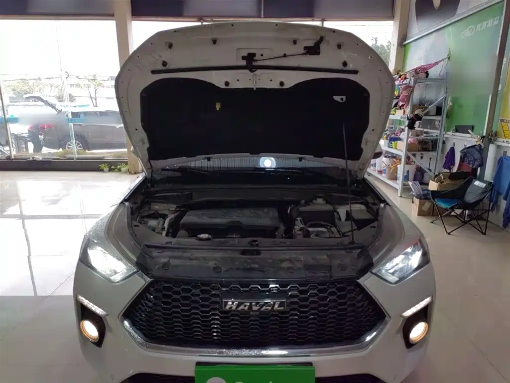 Haval H6 Coupe 2018 Red Label 1.5T Auto 2WD Ultra Luxury фото 20