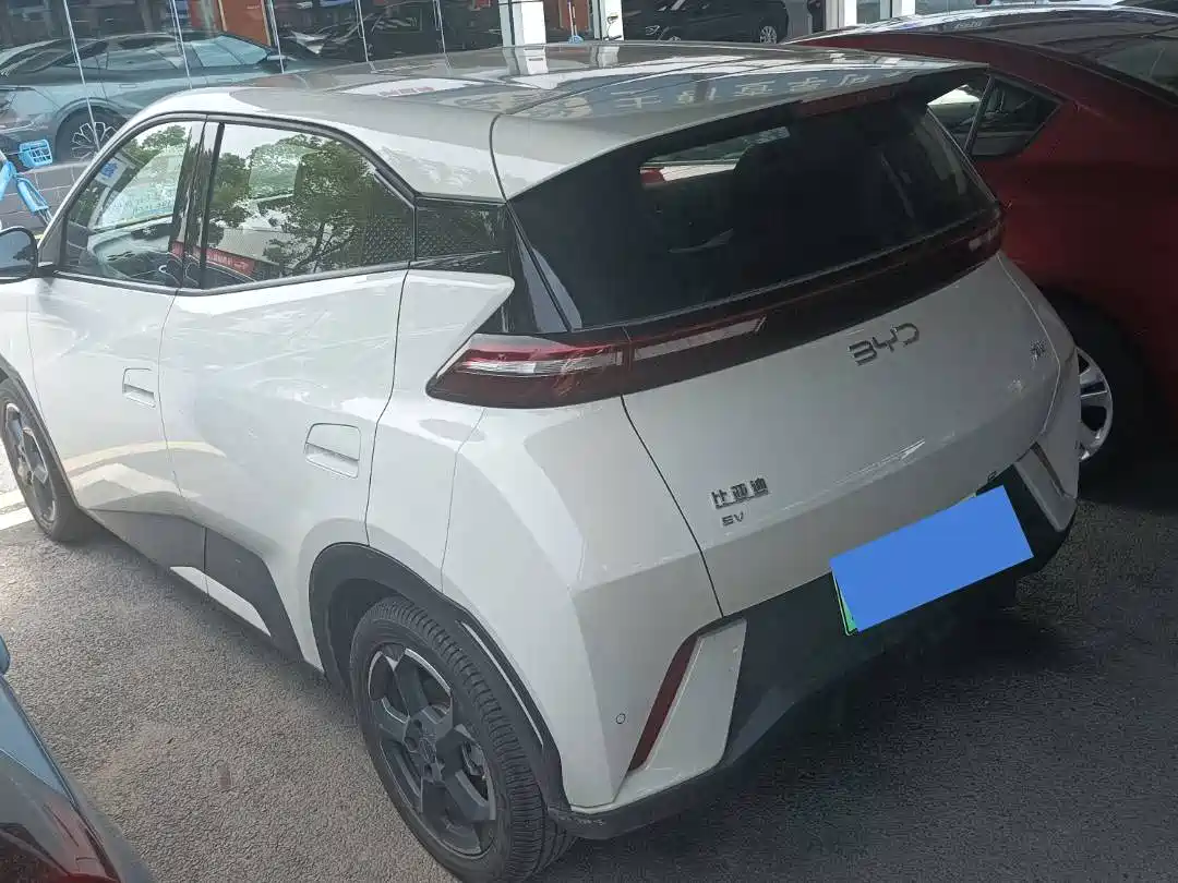 BYD Seagull 2024 Glory Edition 305km Freedom Edition фото 13