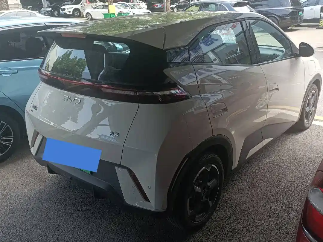 BYD Seagull 2024 Glory Edition 305km Freedom Edition фото 15