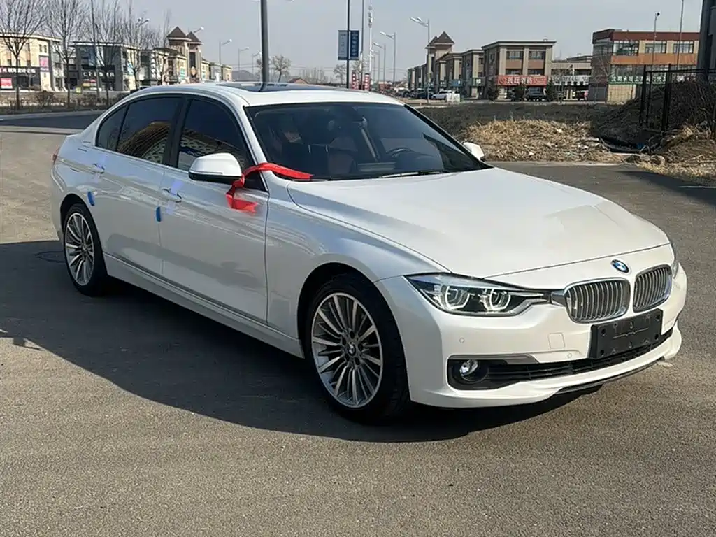 BMW 3 Series 2019 320Li xDrive Fashion Type фото 11