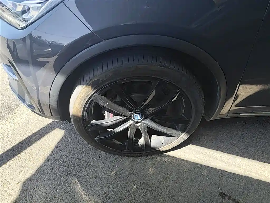 BYD Tang New Energy 2021 DM 2.0T AWD High Performance Genesis Flagship фото 23