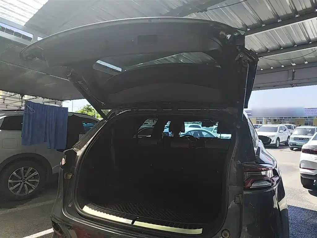 BYD Tang New Energy 2021 DM 2.0T AWD High Performance Genesis Flagship фото 19