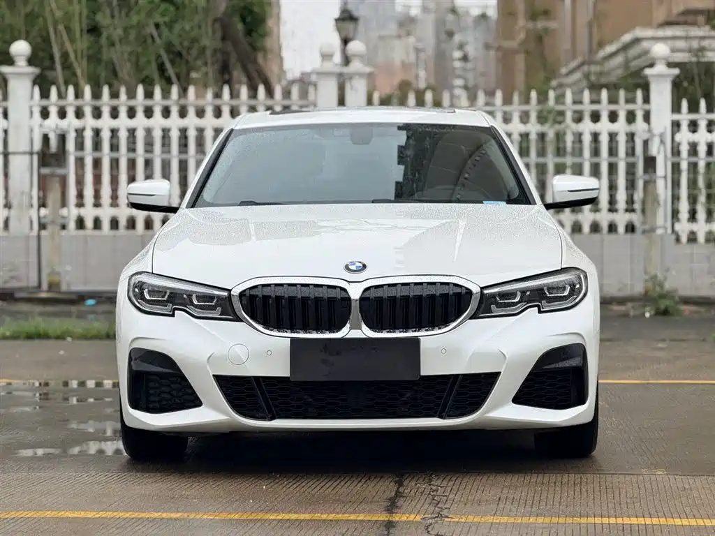 BMW 3 Series 2020 320Li M Sport Package фото 7