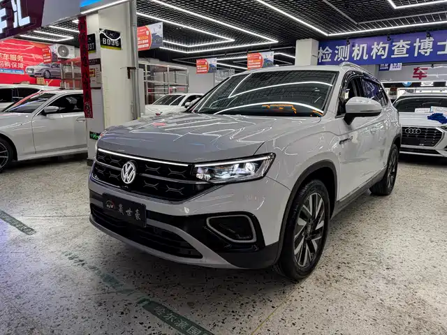 VOLKSWAGEN TANYUE