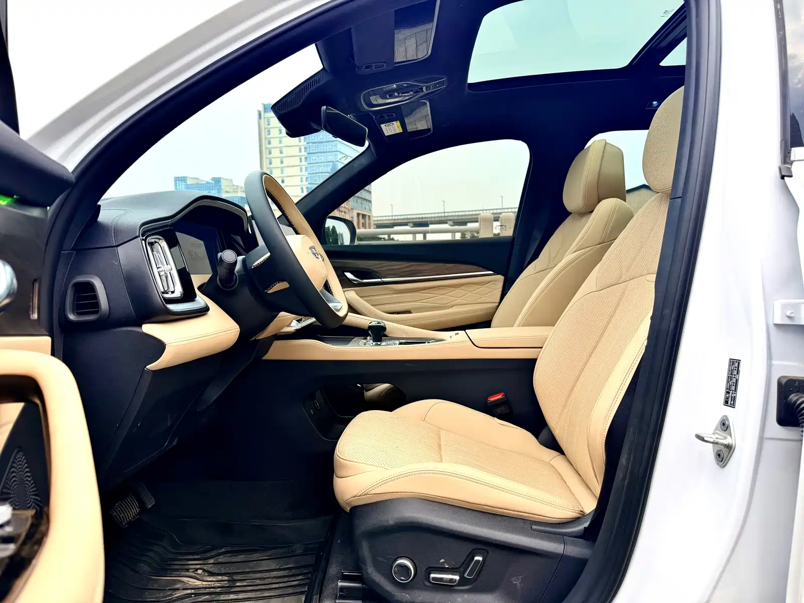 Фото 8 - Geely Monjaro