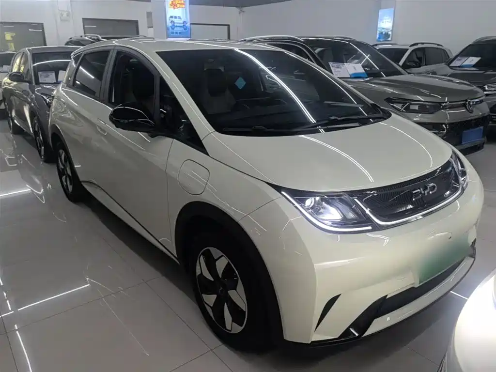 BYD Dolphin 2025 420km Freedom Edition фото 22