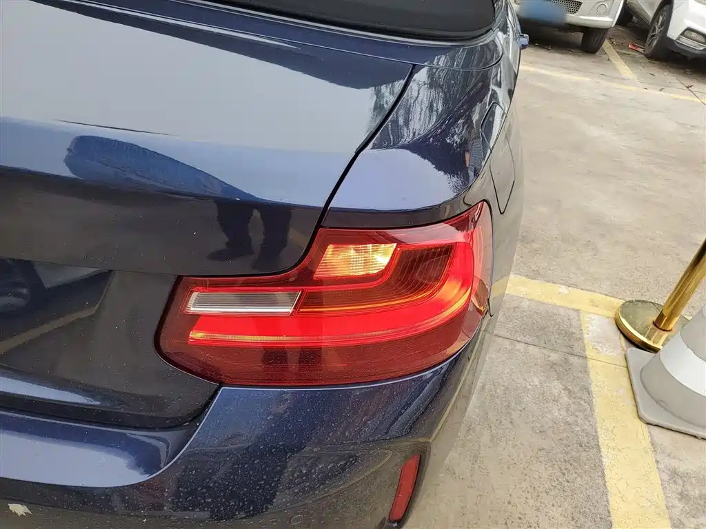 BMW 2 Series (Import) 2017 220i Convertible Coupe Leading фото 24