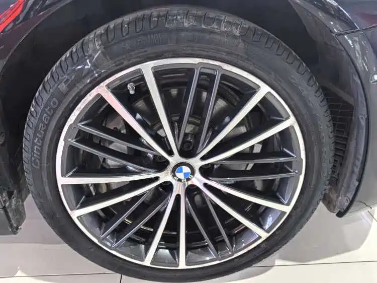 BMW 5 Series 2020 530Li Exclusive M Sport Package фото 17