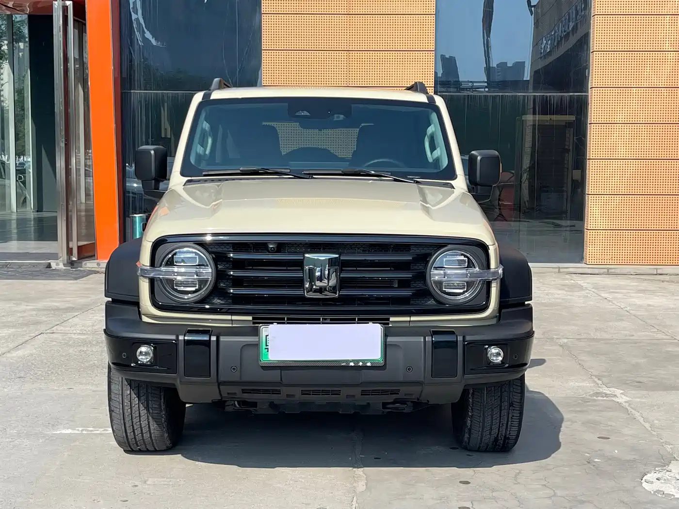 2025 Tank 300L New Energy