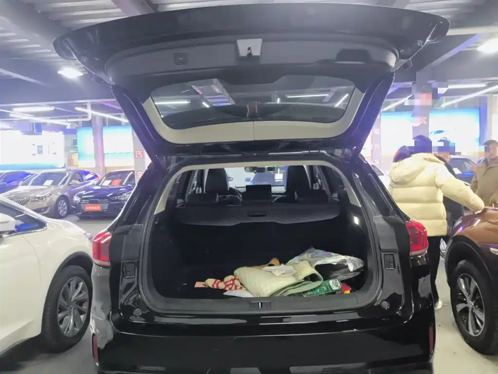 WEY VV6 2021 2021 2.0T 2WD Smart Protection+