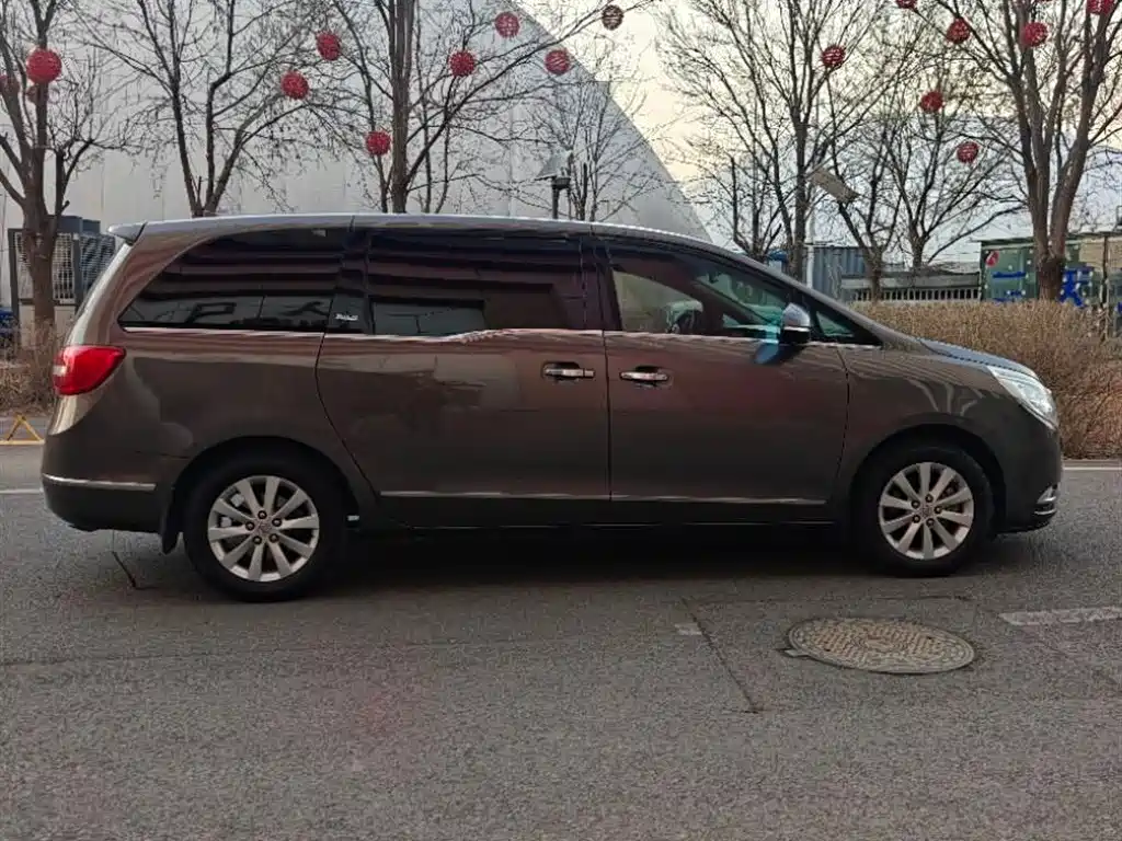 Buick GL8 2015 2.4L Luxury Business Exclusive Edition фото 6