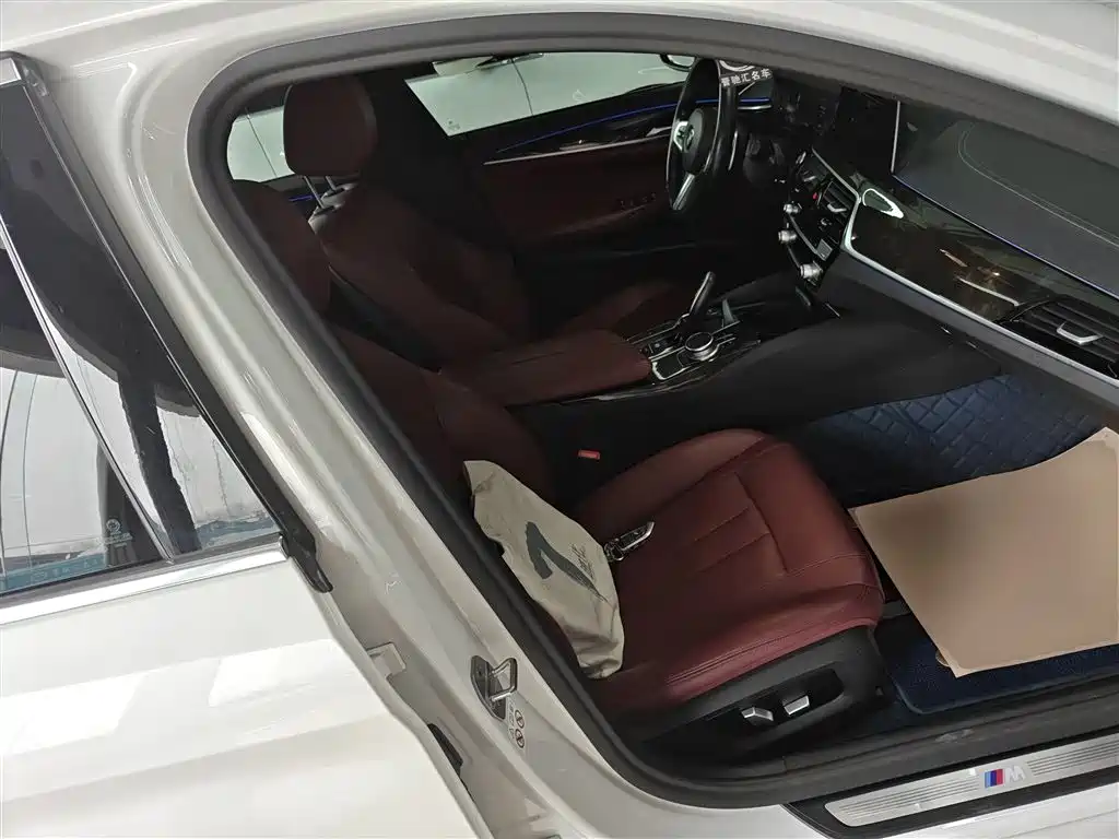 BMW 5 Series 2020 530Li Leading M Sport Package фото 25